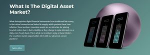 Avex Market Digital Assets