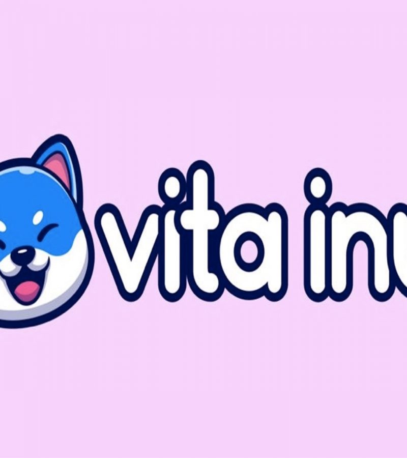 Cryptocurrency Analysts: Be Cautious with the Vita Inu Meme Token
